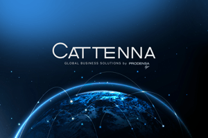 Doing-Business-in-Mexico-Intellectual-Property-Supplier-Compliance-Cattenna