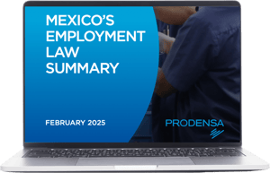 Employer-of-Record-Employment-Law-Ebook