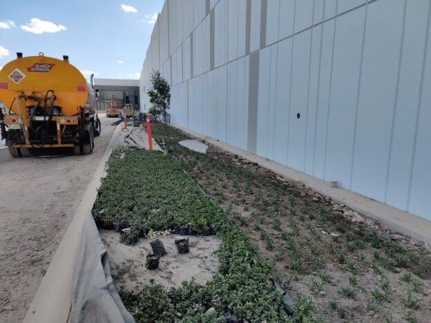 Landscaping