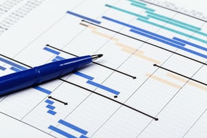 Surprise-Audits-Rules-of-Origin-Self-Certification