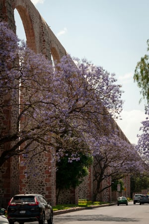 queretaro-site-selection-services-in-mexico-best-place-to-manufacture-in-mexico